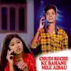 Shahil Babu & Jay Shree - Chudi Beche Ke Bahane Mile Aibau - Single